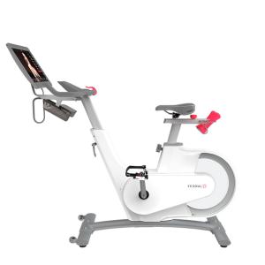 Купить Велотренажер Yesoul BV1-W PLUS в Заречном 